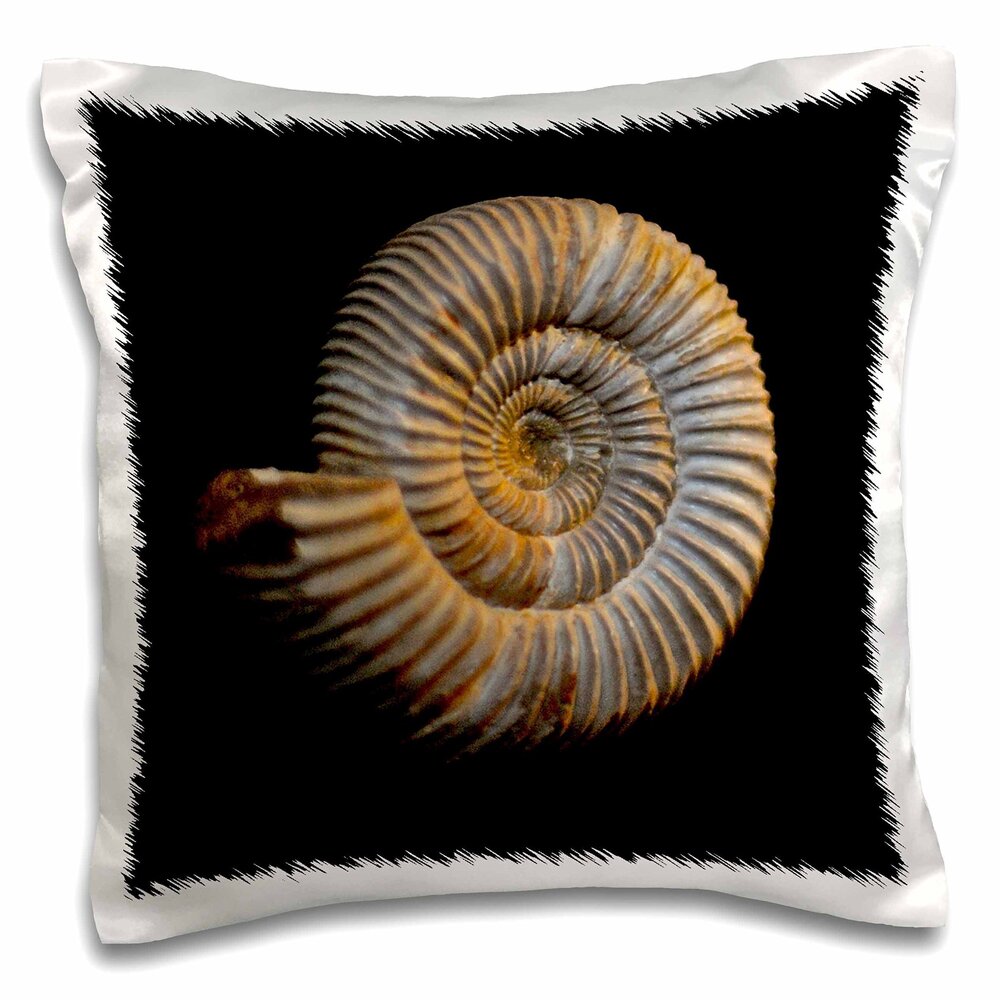 6840 Dactylioceras from The Jurassic Madagascar Africa-Pillow Case, 16 by